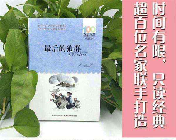 一本名著几天可以读完