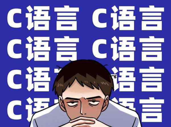 我也是个c语言大佬表情包
