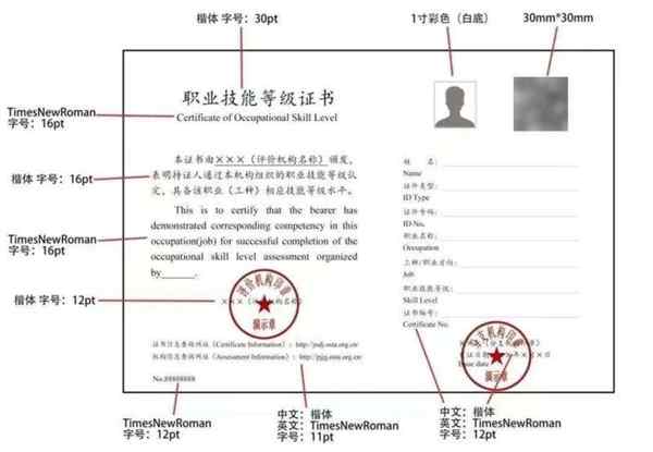 职业技能等级证书怎么考取