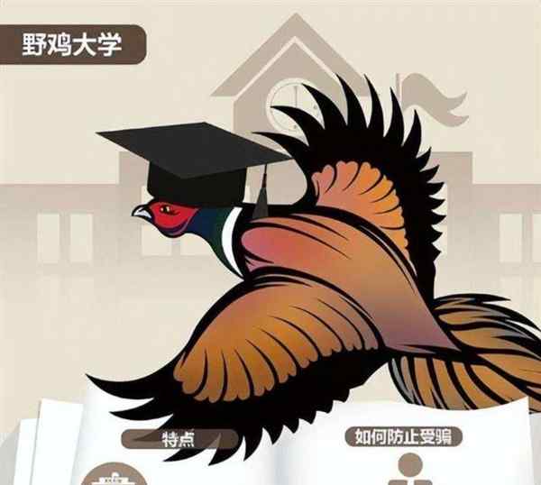  野鸡大学完整名单查询