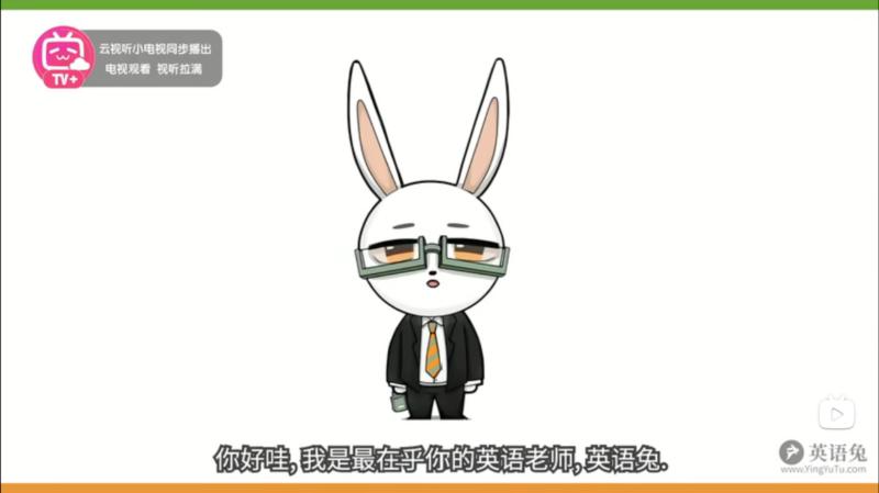 我很喜欢兔子用英文怎么说呢