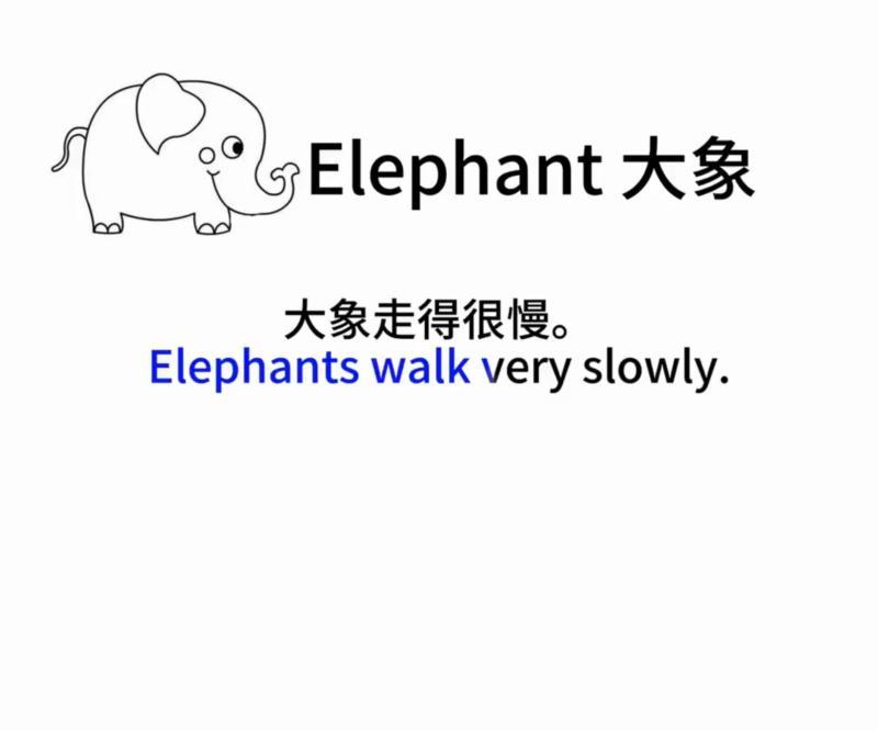 大象的英文怎么读音发音播放的简单介绍