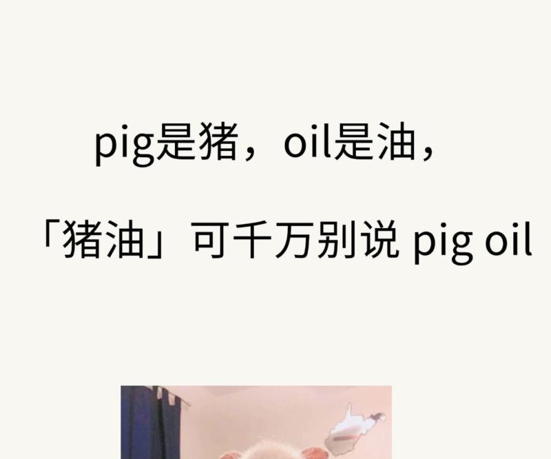 猪猪的英文单词怎么读