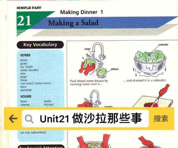 想要一份沙拉的英文翻译