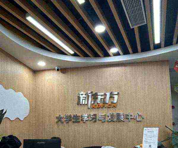 新东方小学英语只有线上教学吗知乎