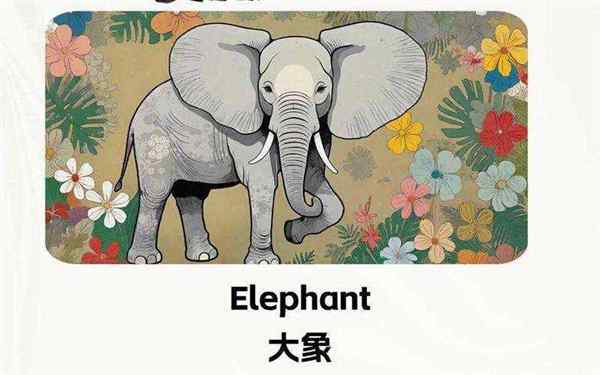 αche英语怎么读