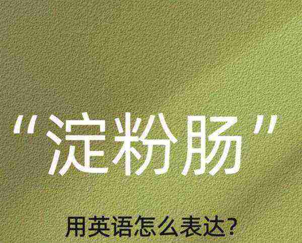 肠子英文单词怎么写
