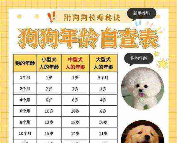 pets考出来有用么