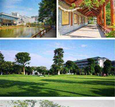厦门华夏职业学院