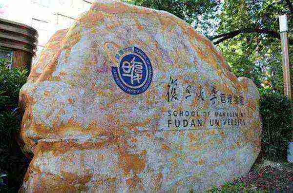 复旦管理学院和经济学院哪个好