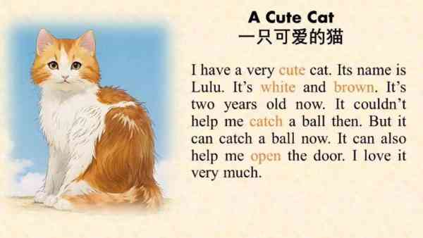 这里有一只猫在门的后面用英语怎么说
