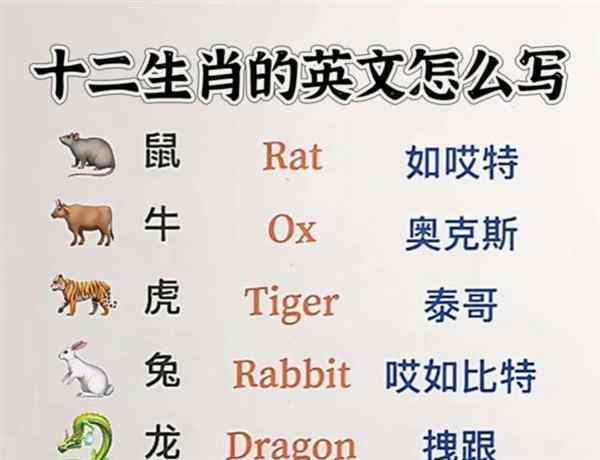 12怎么写英文单词