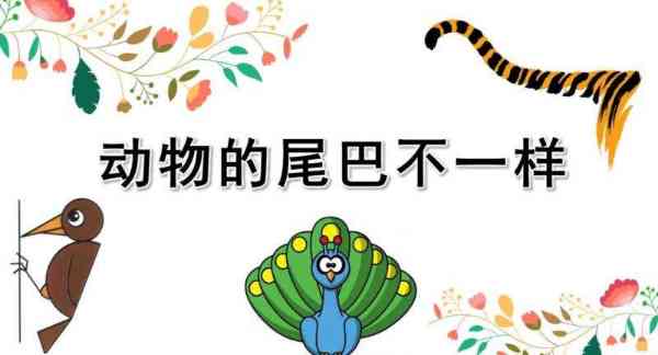 它的尾巴是长还是短英文翻译