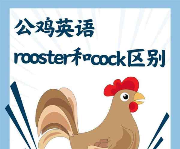 火鸡的英语单词是什么读的