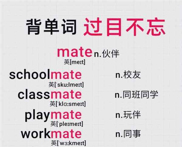 他们的英文单词怎么写的