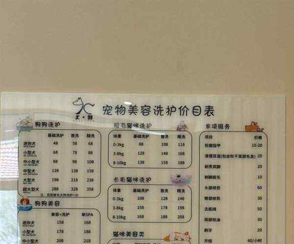pet3报名费多少