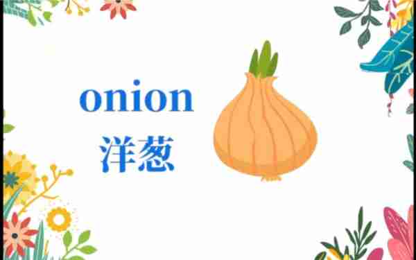 洋葱用英语怎么写单词