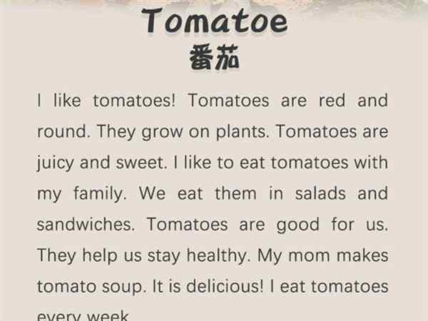 制作西红柿牛肉面的过程英文