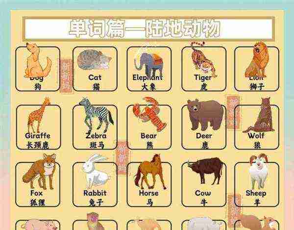 60个常见动物的英语