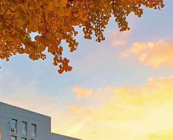 东北大学南湖校区平面图