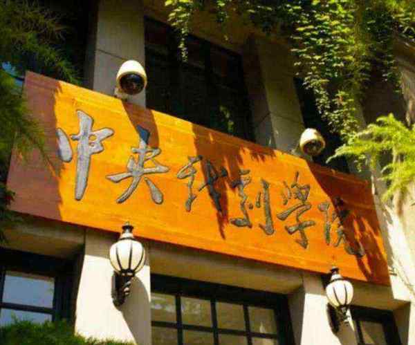 艺术类学校有几种专业