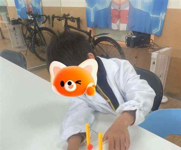 小学科学stem课程项目有哪些内容