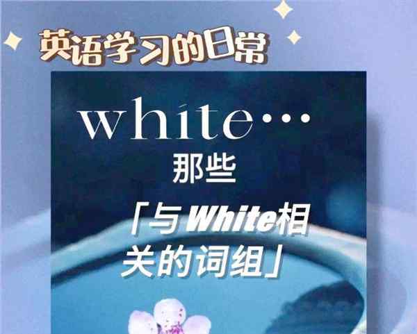 对话对白的英文怎么读啊