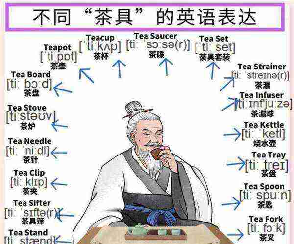 在茶壶后面用英语怎么写的