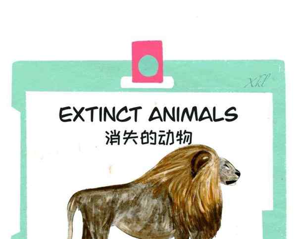 狮子用英语怎么说读