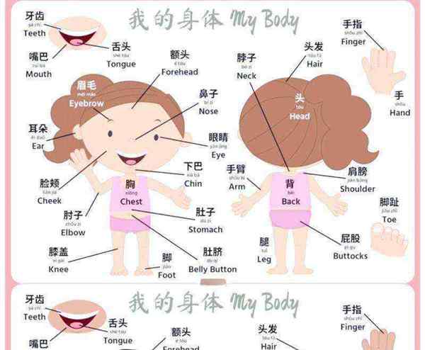幼儿启蒙英语启蒙篇35集