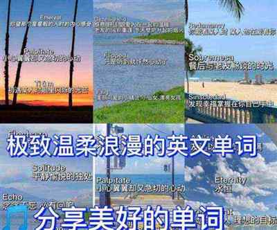 100个高级浪漫单词
