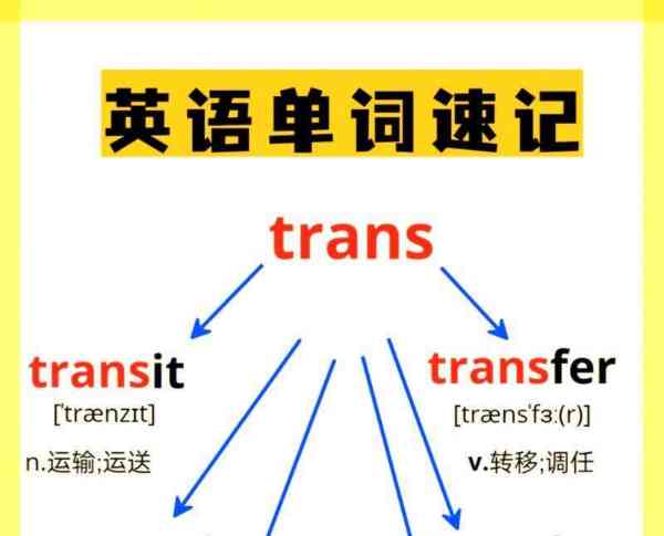 笔直的英语单词怎么读小学