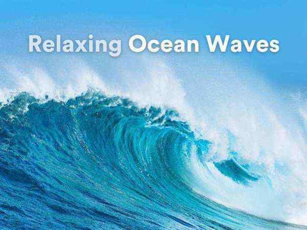 wave的英语怎么读,汉语是什么