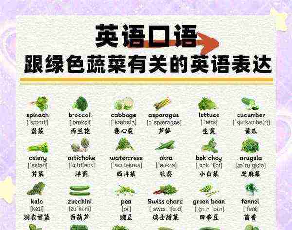 疏菜的英文单词怎么说怎么写