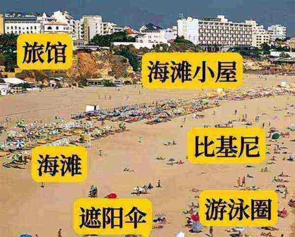 比基尼用英文怎么写单词
