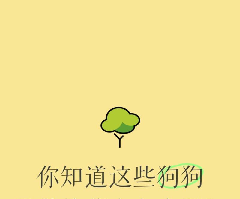 狗狗英文怎么说读