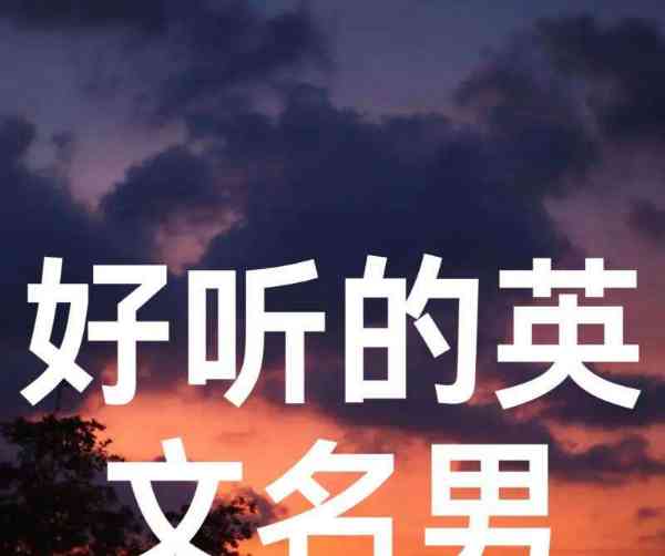 楠桐英文怎么写
