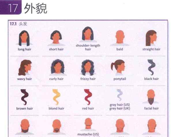 表示脸型的英语词55个