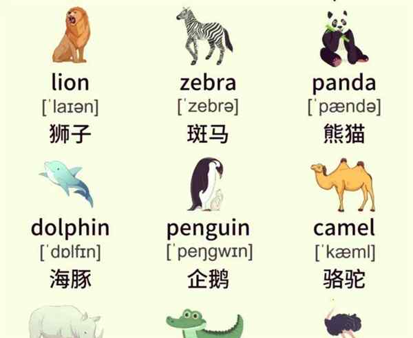 它们的的英语怎么说怎么写