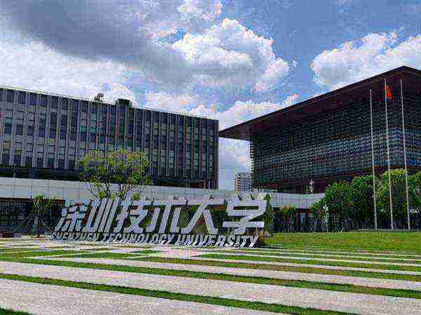 深圳信息技术学院