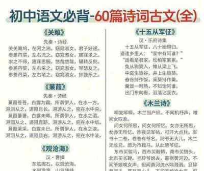 初中古诗词大全必背2024版 