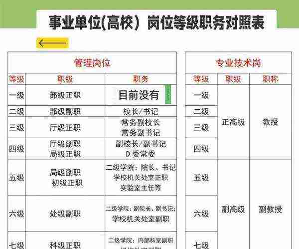 职业一栏填什么内容