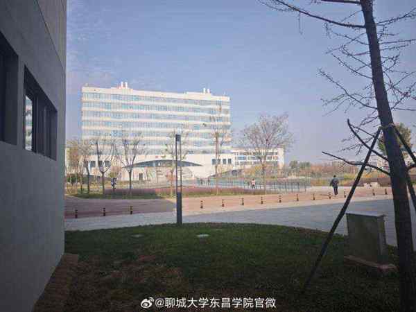 聊城大学东昌学院录取分数线