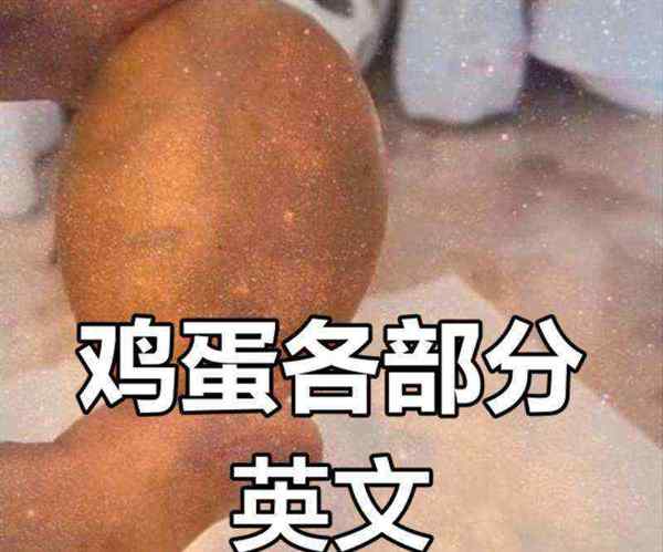 彩蛋的英文怎么写?