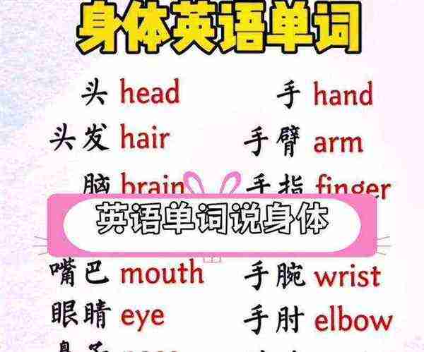 身体的英文怎么说中文翻译成英语怎么写