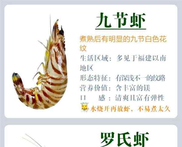 大虾用英语怎么读语音