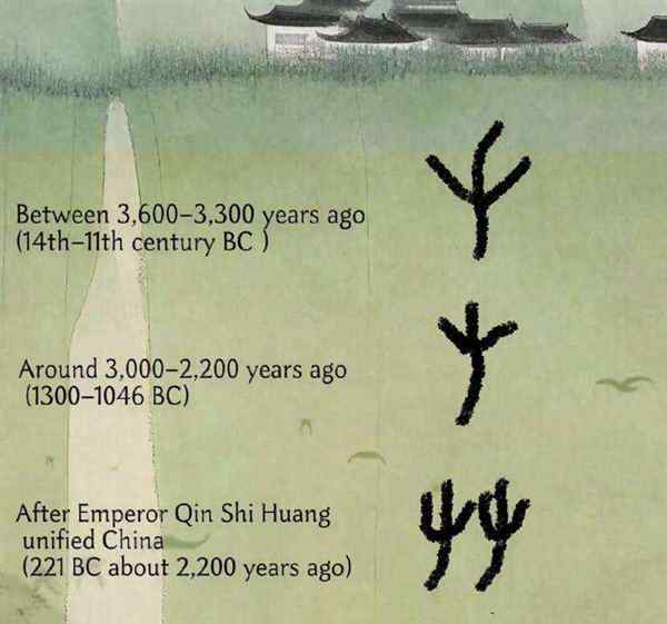草的英文怎么写的呀