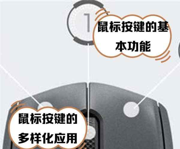 鼠标用英语怎么翻译