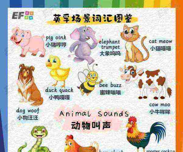 鸭子的叫声的英文单词怎么写的