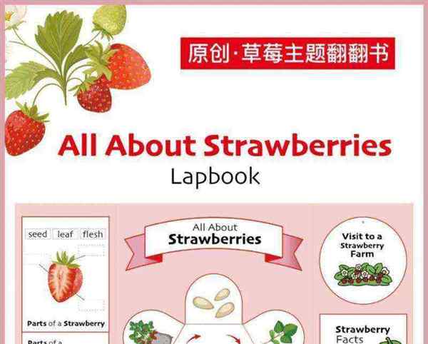 草莓英语怎么念怎么读音发音